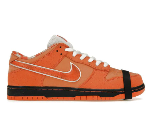 Nike Dunk Low SB Orange Concept