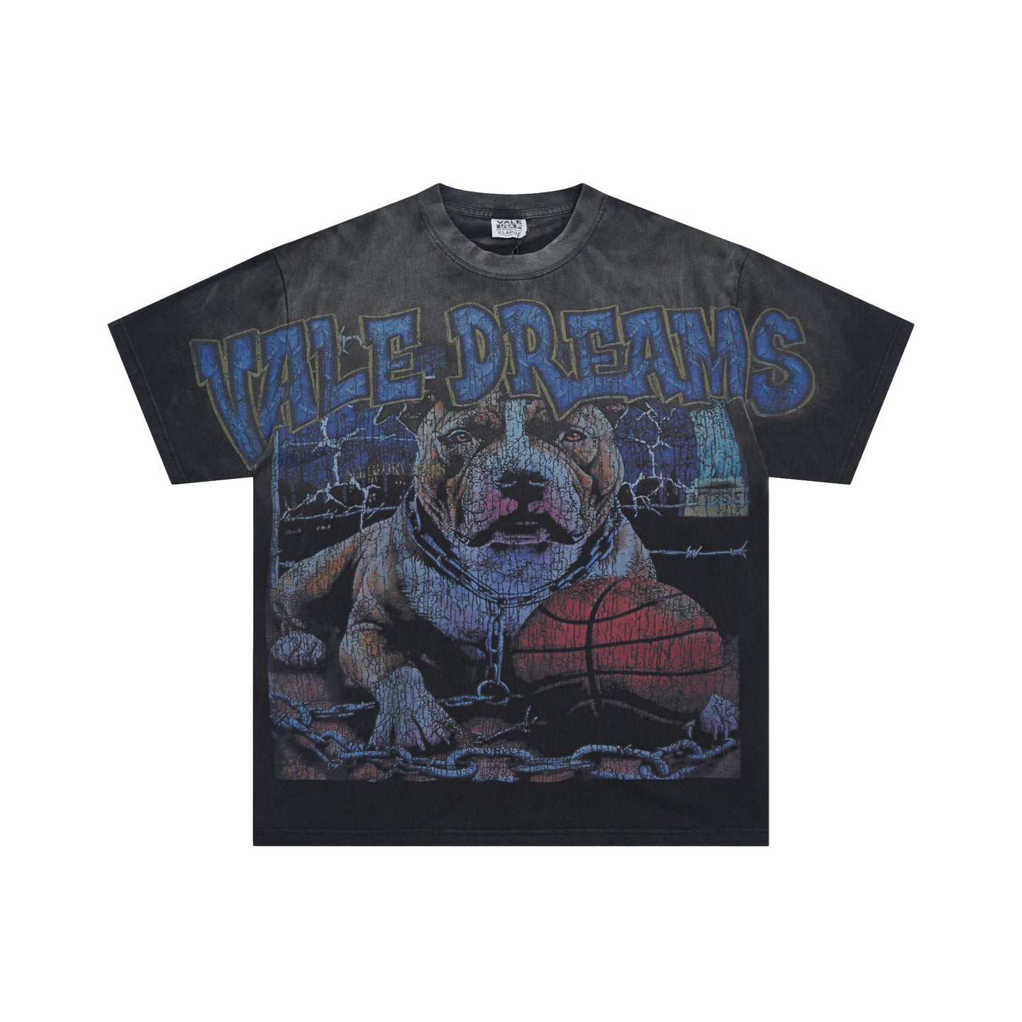 Vale Forever basketball Pitbull Tee qckPR